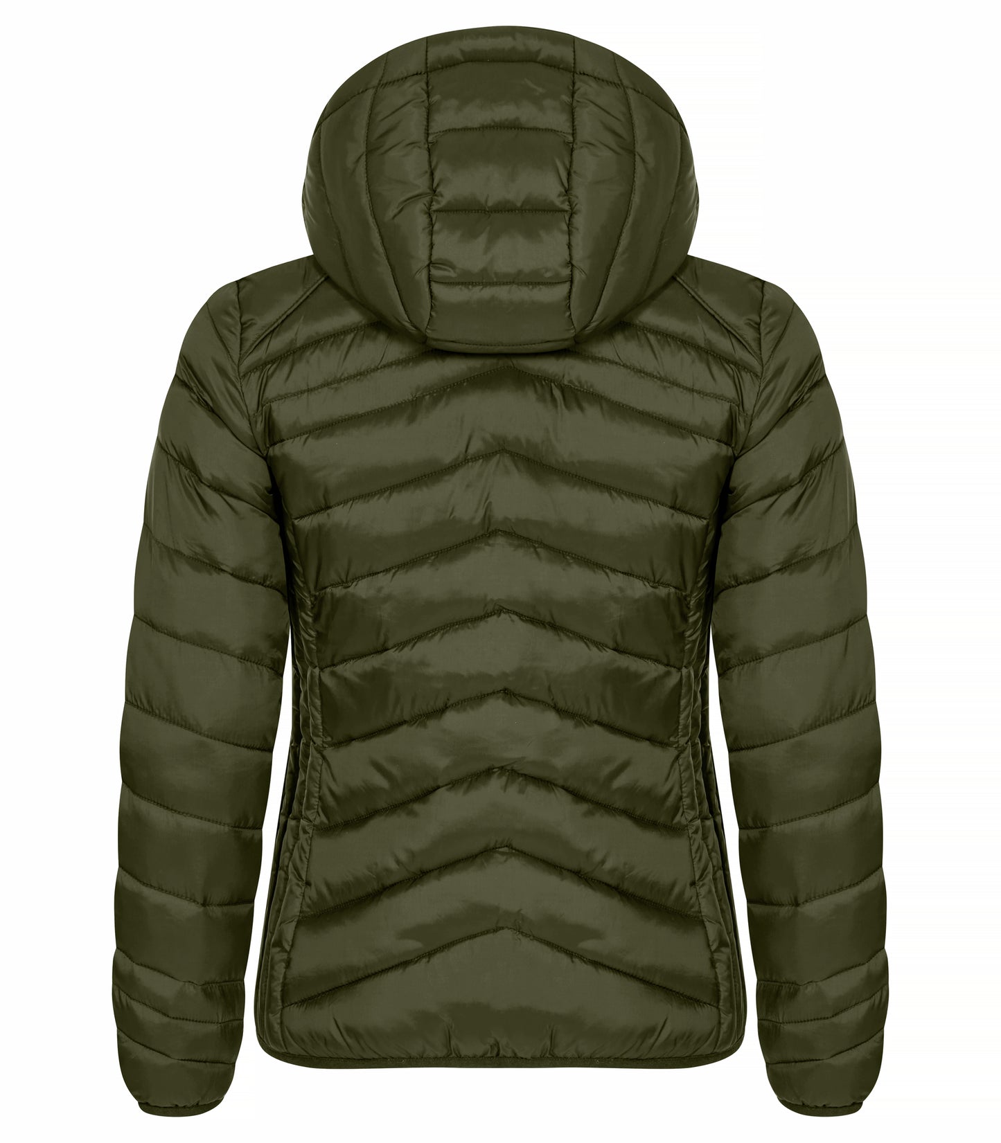 Clique Idaho Ladies Jacket | Padded | Recycled Material | Removable Hood | 3 Colours | XS-2XL
