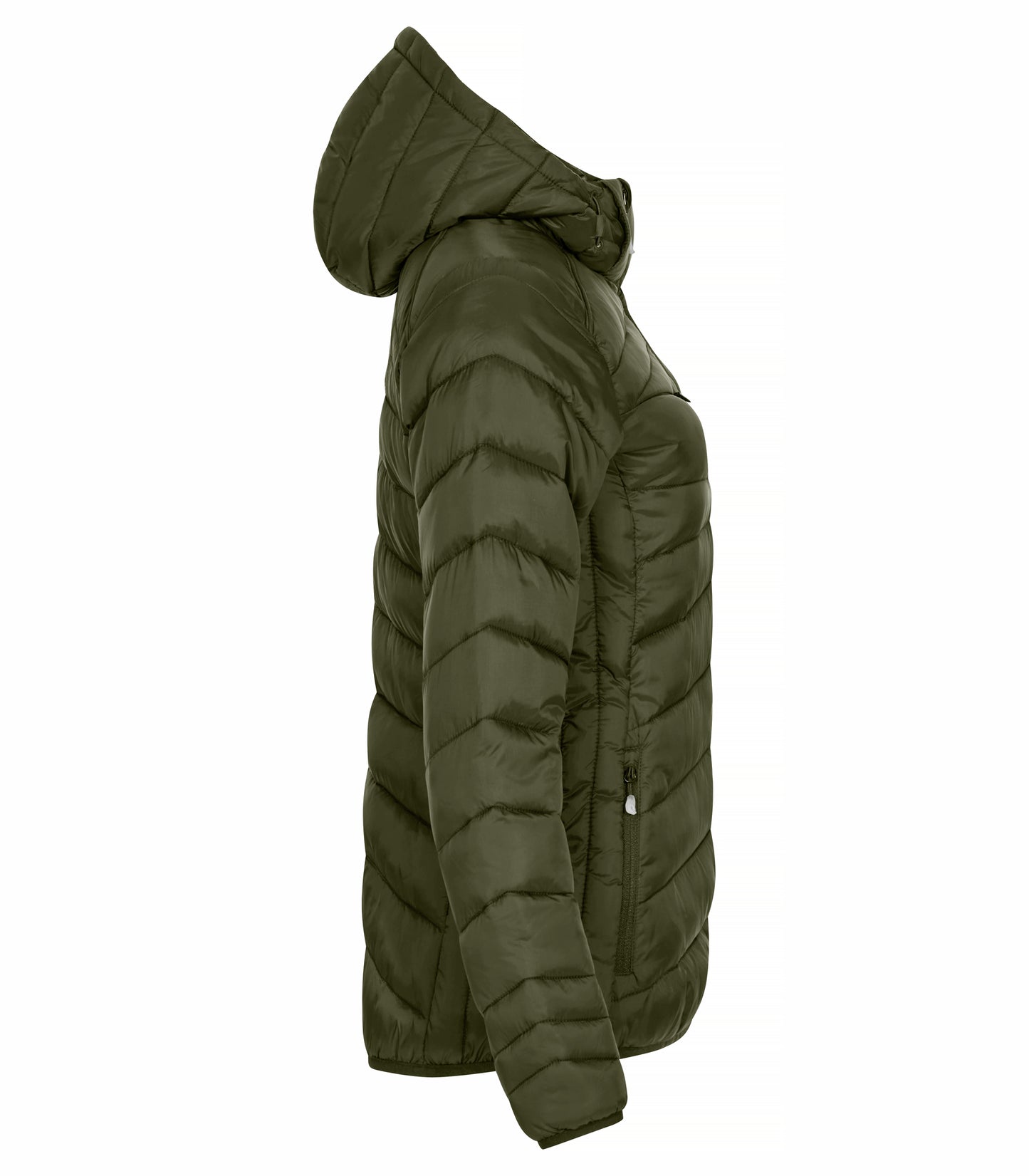 Clique Idaho Ladies Jacket | Padded | Recycled Material | Removable Hood | 3 Colours | XS-2XL