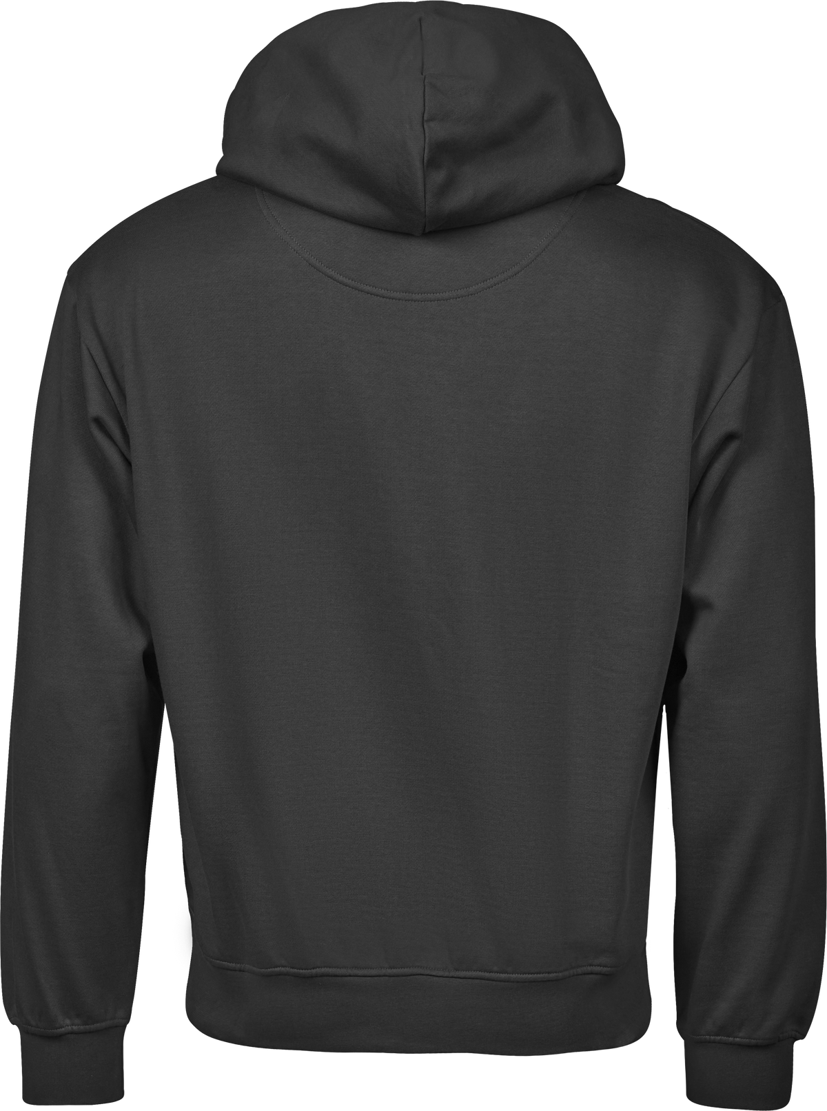 Tee Jays Unlabelled Heavy Loose Fit Hoodie in Black, back view