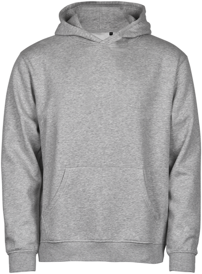Tee Jays Junior Unlabelled Hooded Sweatshirt in Heather Grey, front view