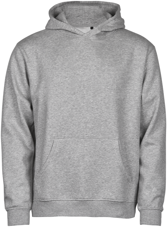 Tee Jays Junior Unlabelled Hooded Sweatshirt in Heather Grey, front view