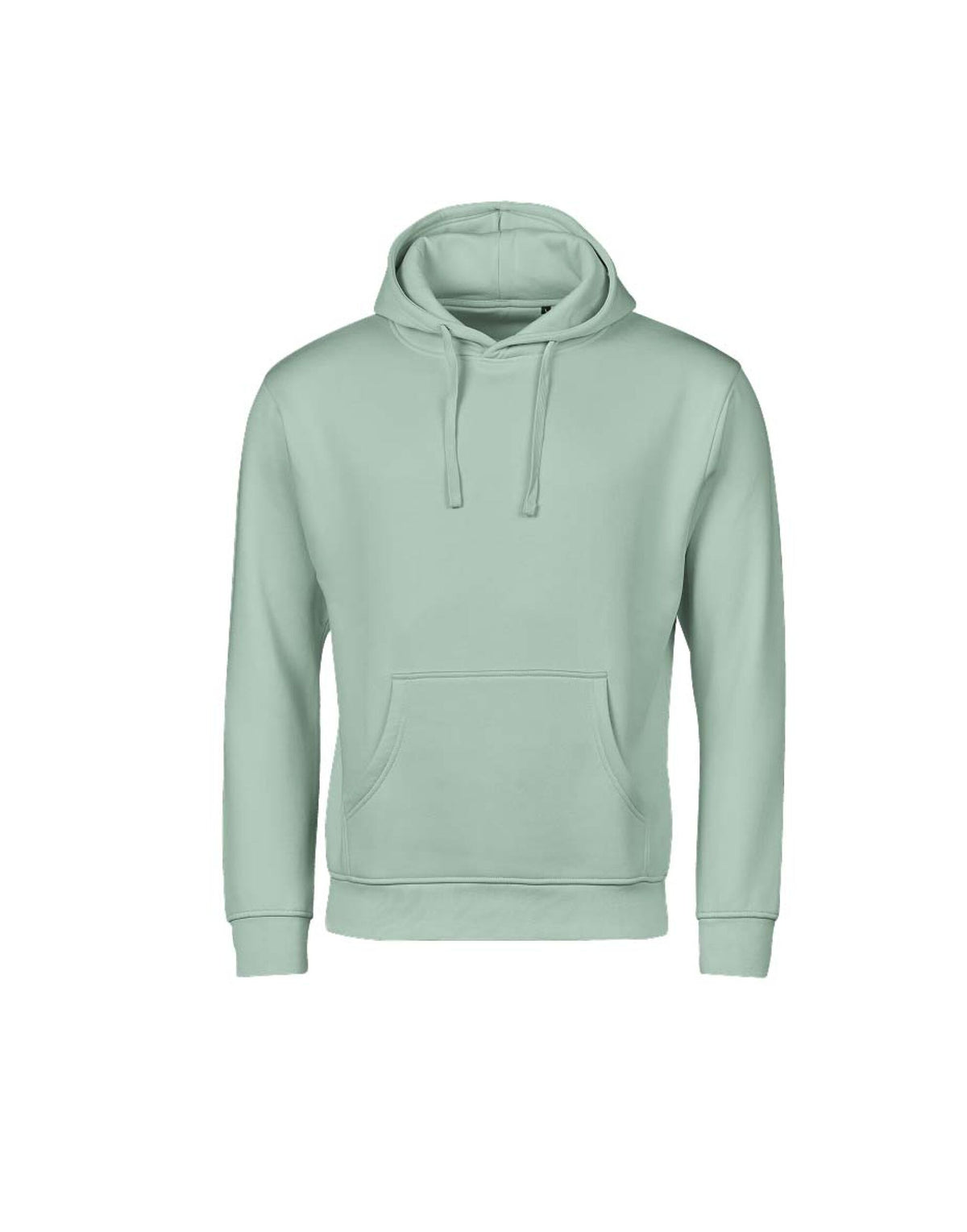 Tee Jays Unlabelled Hooded Sweatshirt Hoodie in Mint, front view